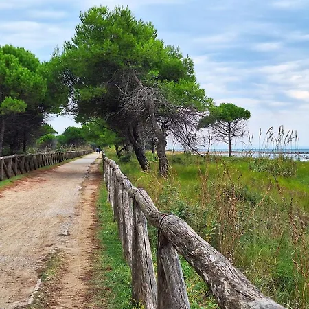 Apartment Recently Refurbished Two Bedroom Flat In Bibione